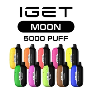 import placeholder for 2451