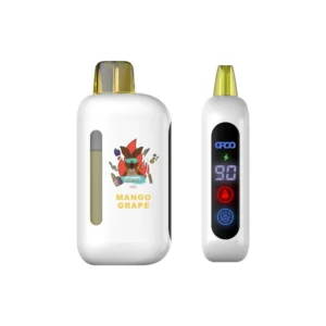 mg 1.webp